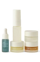 Oak Essentials Mini Routine Set $75 Value at Nordstrom