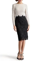 Tadashi Shoji Colorblock Long Sleeve Corded Lace Cocktail Dress Ivory/Black at Nordstrom,