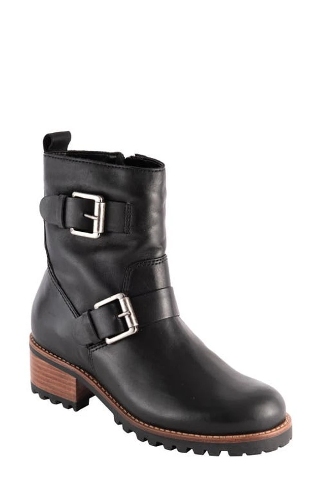 David Tate Palmar Double Strap Waterproof Boot Black at Nordstrom,