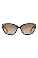 Kate Spade New York phillipa 54mm gradient cat eye sunglasses in Havana/Beige/Brown at Nordstrom