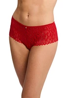 Montelle Intimates Feather Lace Brazilian Briefs at Nordstrom,