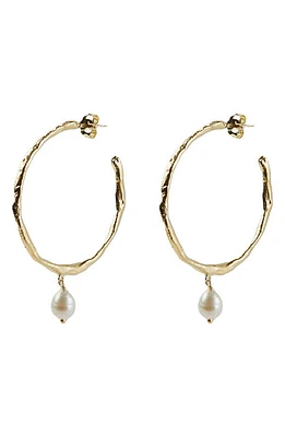 Argento Vivo Sterling Silver Freshwater Pearl Molten Hoop Drop Earrings in Gold at Nordstrom