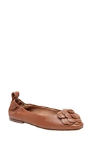 Linea Paolo Nina Ballet Flat at Nordstrom,