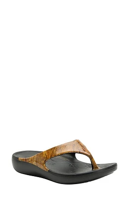 Alegria by PG Lite Ode Flip Flop at Nordstrom,