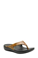 Alegria by PG Lite Ode Flip Flop at Nordstrom,