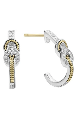 LAGOS Newport Hoop Earrings in Diamond at Nordstrom