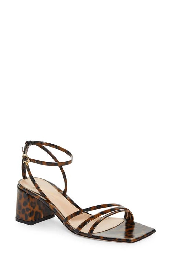 Gianvito Rossi Brielle Ankle Strap Sandal Leopard Print at Nordstrom,