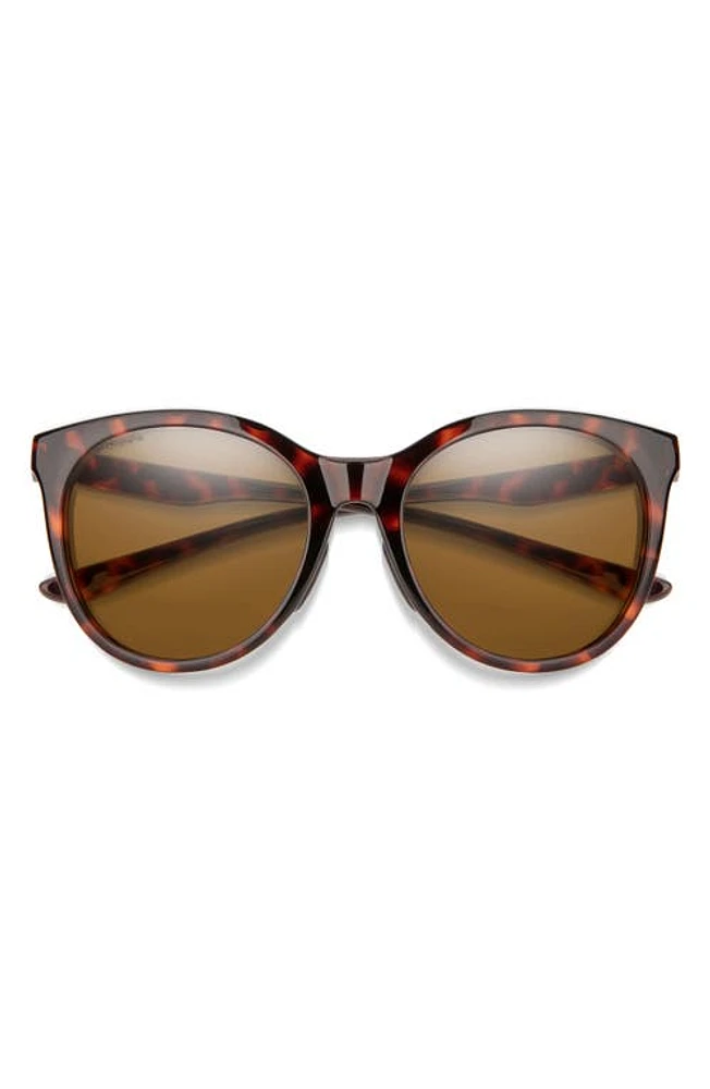 Smith Bayside 55mm Polarized Mirrored Round Sunglasses in Tortoise/Chromapop Brown at Nordstrom