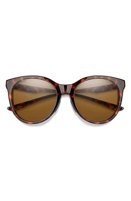 Smith Bayside 55mm Polarized Mirrored Round Sunglasses in Tortoise/Chromapop Brown at Nordstrom