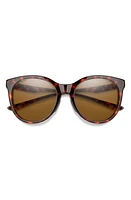 Smith Bayside 55mm Polarized Mirrored Round Sunglasses in Tortoise/Chromapop Brown at Nordstrom