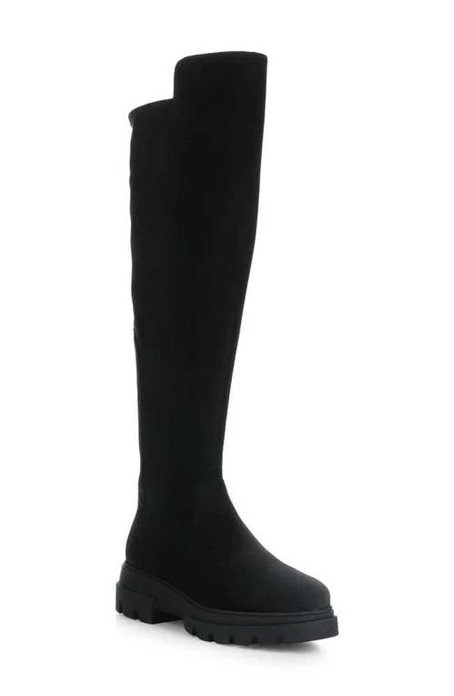 Bos. & Co. Fifth Waterproof Knee High Boot Stretch at Nordstrom,