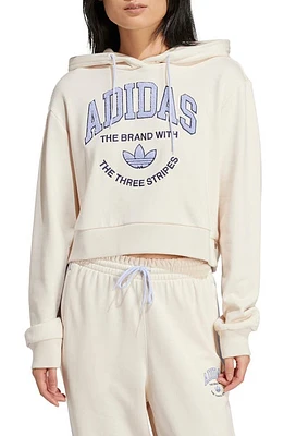 adidas VRCT Lifestyle Cotton Graphic Hoodie in Wonder White at Nordstrom, Size Small