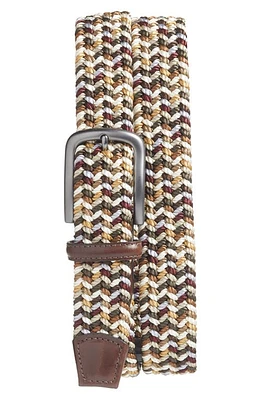 Torino Woven Belt Brown Multicolor at Nordstrom,