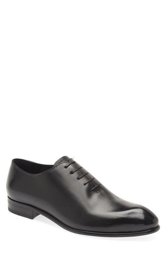 ZEGNA Vienna Evening Wholecut Oxford Black at Nordstrom,