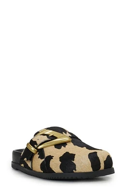 Vince Camuto Jayden Genuine Calf Hair Clog Cow Print at Nordstrom,