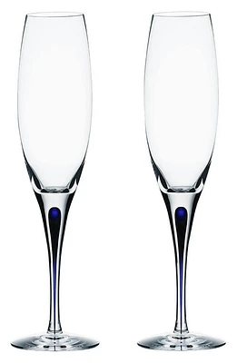 Orrefors Intermezzo Set of 2 Champagne Flutes in Clear at Nordstrom