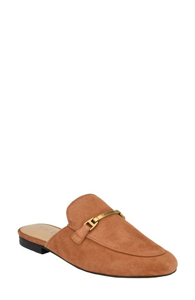 Calvin Klein Sidoll Mule at Nordstrom,