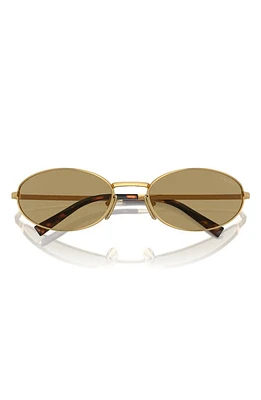 Prada 59mm Oval Sunglasses in Gold at Nordstrom