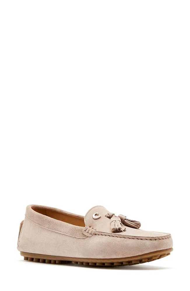 La Canadienne Pista Tassel Waterproof Driving Shoe Rose Suede at Nordstrom,