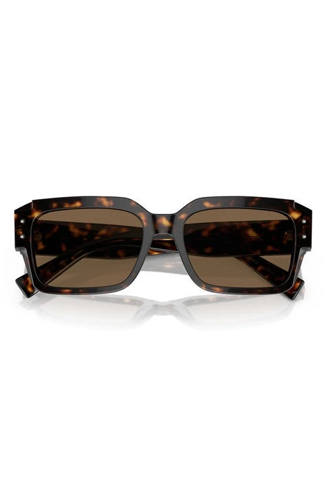 Dolce & Gabbana 56mm Square Sunglasses in Havana at Nordstrom