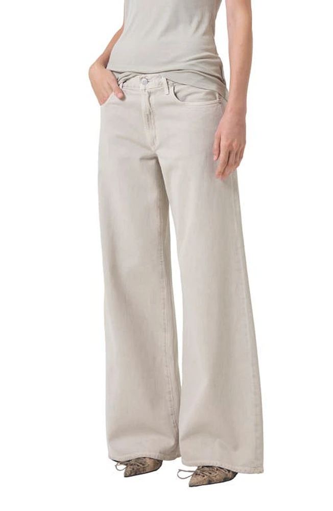 AGOLDE Clara High Waist Wide Leg Jeans Tusk at Nordstrom,