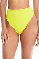 Rod Beattie High Waist Bikini Bottoms at Nordstrom,