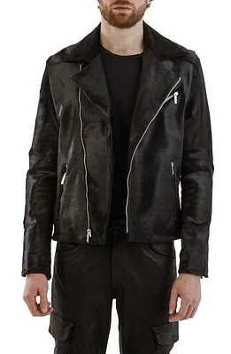 Monfrère Blake Genuine Calf Hair Moto Jacket Noir Pony at Nordstrom,