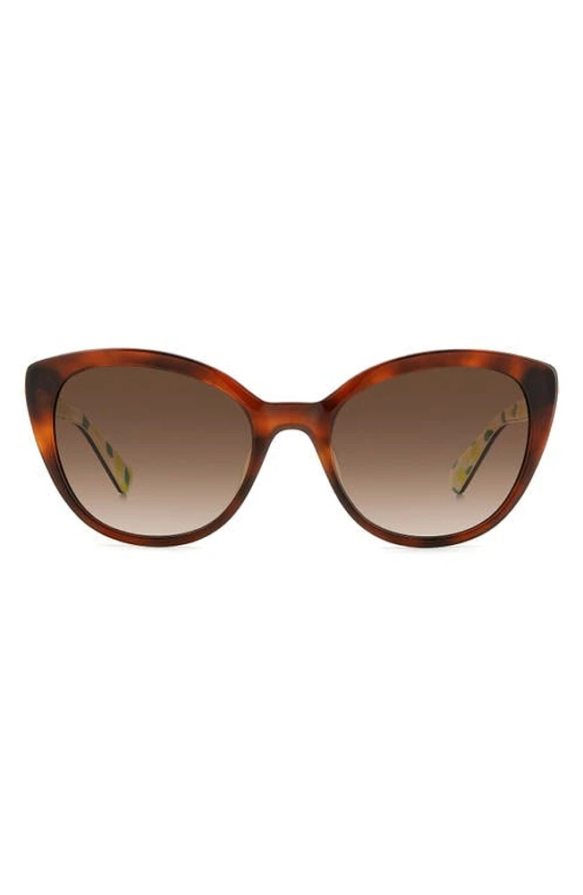 Kate Spade New York amberlees 55mm gradient eat eye sunglasses in Beige/Brown Gradient at Nordstrom