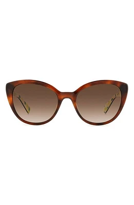 Kate Spade New York amberlees 55mm gradient eat eye sunglasses in Beige/Brown Gradient at Nordstrom