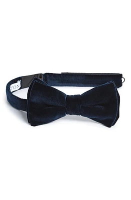 Eton Velvet Bow Tie in Navy at Nordstrom