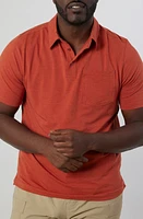 Rainforest Cliffside Solid Stretch Polo Heather at Nordstrom,