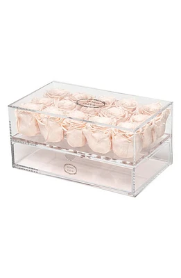 Venus ET Fleur Le Clair Quinze Eternity Roses in Blush at Nordstrom