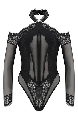 Hunkemöller Jenni Long Sleeve Lace & Mesh Bodysuit Caviar at Nordstrom,