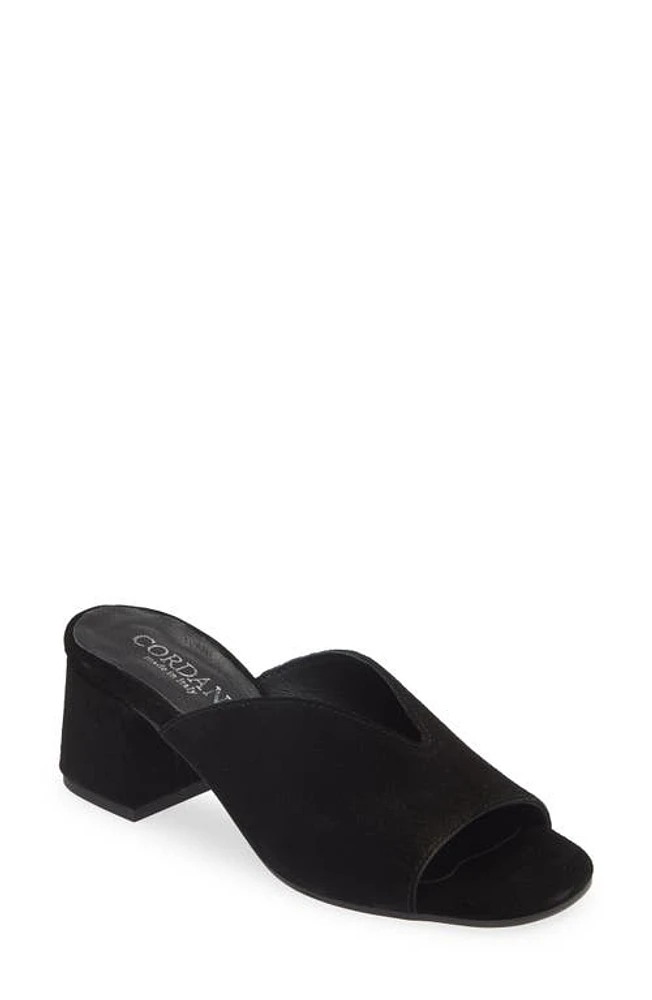 Cordani Pollie Slide Sandal at Nordstrom,