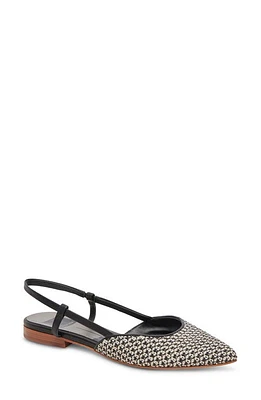 Dolce Vita Narah Pointed Toe Flat Raffia at Nordstrom,