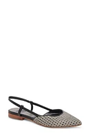 Dolce Vita Narah Pointed Toe Flat Raffia at Nordstrom,