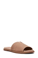 Blondo Emilia Slide Sandal Nubuck at Nordstrom,