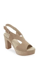 Cordani Taylin Platform Sandal Suede at Nordstrom,