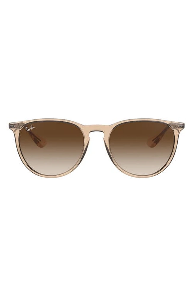 Ray-Ban Erika 54mm Gradient Round Sunglasses in Brown/Brown Gradient at Nordstrom