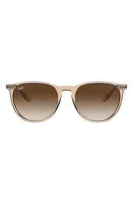 Ray-Ban Erika 54mm Gradient Round Sunglasses in Brown/Brown Gradient at Nordstrom