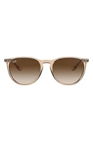 Ray-Ban Erika 54mm Gradient Round Sunglasses in Brown/Brown Gradient at Nordstrom