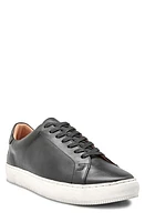 Frye Astor Sneaker Black - Toga at Nordstrom,