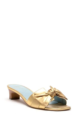 Frances Valentine Sandy Sandal Platino at Nordstrom,