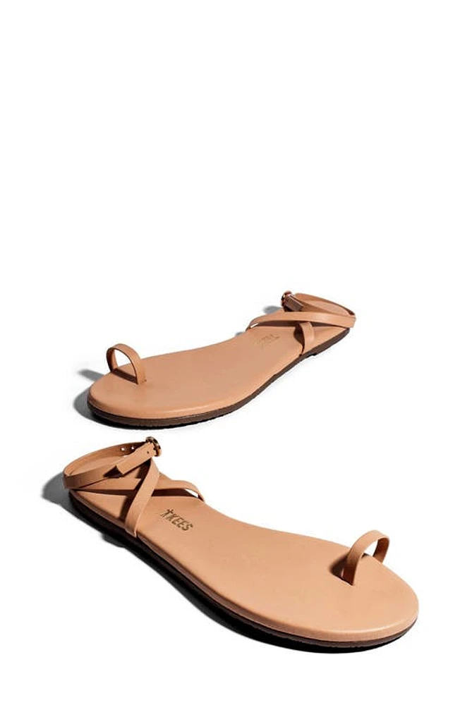 TKEES Phoebe Ankle Strap Sandal at Nordstrom,