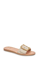 Dolce Vita Dasa Slide Sandal at Nordstrom,