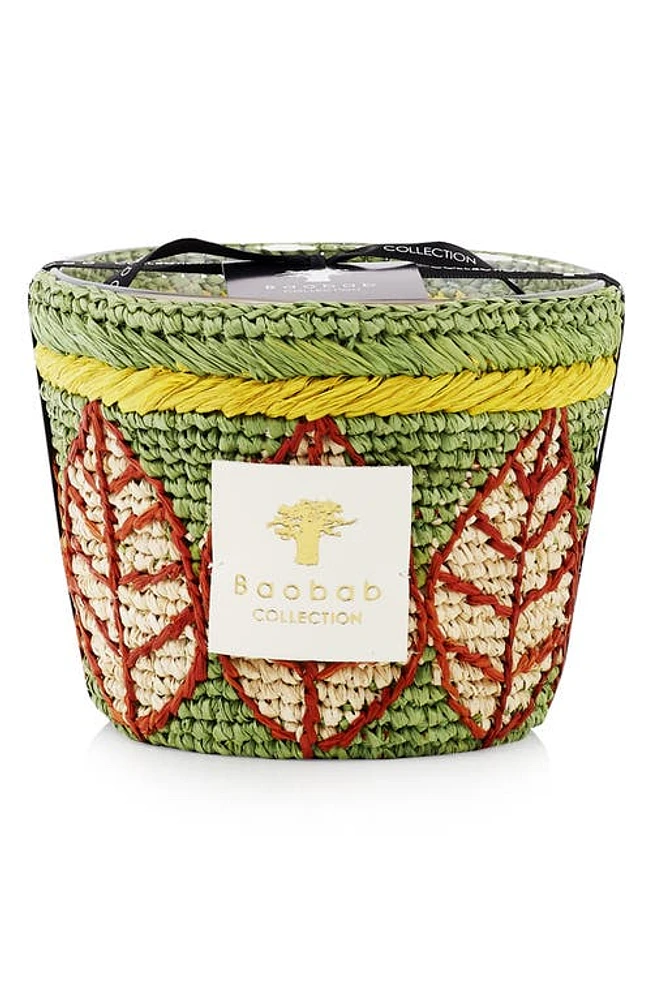 Baobab Collection Ravintsara Candle in Ravina at Nordstrom