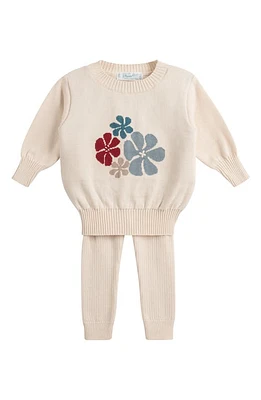 Feltman Brothers Floral Sweater & Pants Set Ecru at Nordstrom,