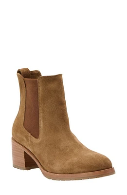 Nisolo Ana Go-To Chelsea Boot Taupe at Nordstrom,