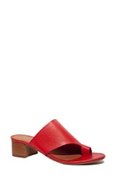 Unity Diversity Bonita Sandal at Nordstrom,