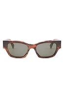 CELINE Monochroms 54mm Cat Eye Sunglasses in Animal /Smoke at Nordstrom